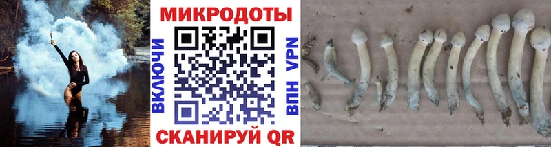Галлюциногенные грибы GOLDEN TEACHER KRAKEN рабочий сайт Пыталово